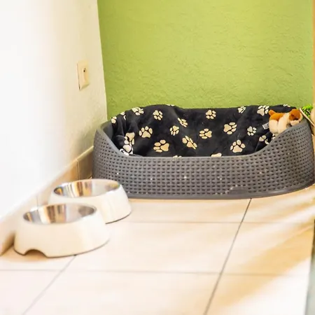 Thermal A 2 Min -le 1909- 8 Pers- Parking Chez Julie Appartement *