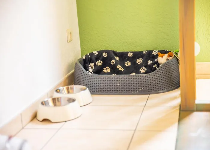 Thermal A 2 Min -le 1909- 8 Pers- Parking Chez Julie Апартаменты *